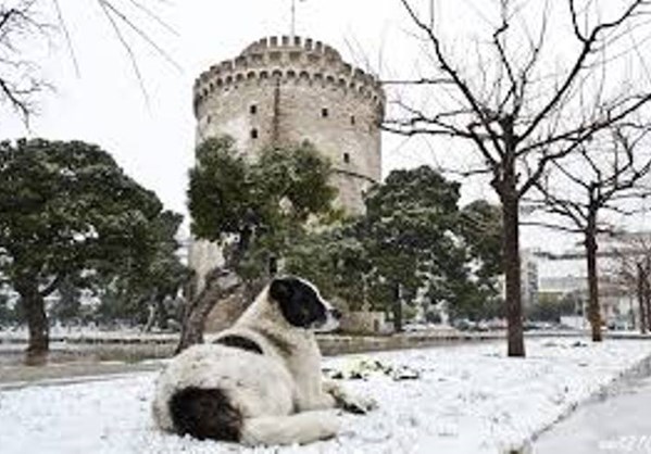 Αναλυτικά Ο Καιρός Για Σήμερα Τρίτη 17/02/15